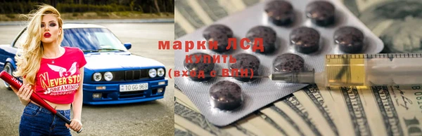 шишки Белоозёрский